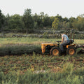 Support small and family farmers