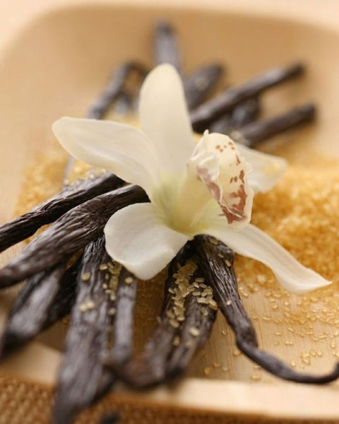 Discover the power of Bourbon Madagascar Vanilla