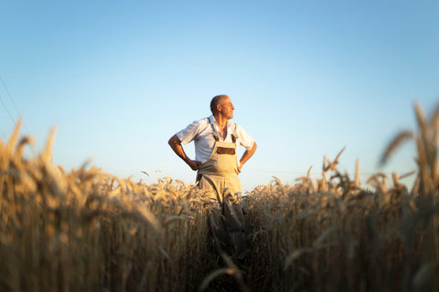 Are Europe's Food Supply Laws Failing Small Farmers?